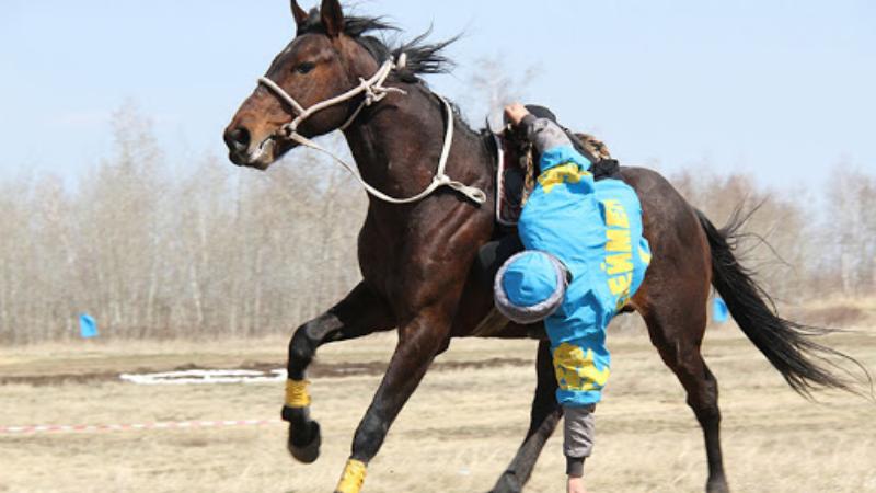Ұлттық спорт түрлері мектеп бағдарламасына енгізіледі